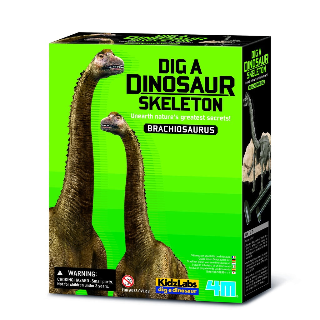 4M Brachiosaurus Skeleton Excavation Kit – Dig & Assemble 28cm Dinosaur Model, Includes Tools & Instructions, Ages 8+, Model 00-03237