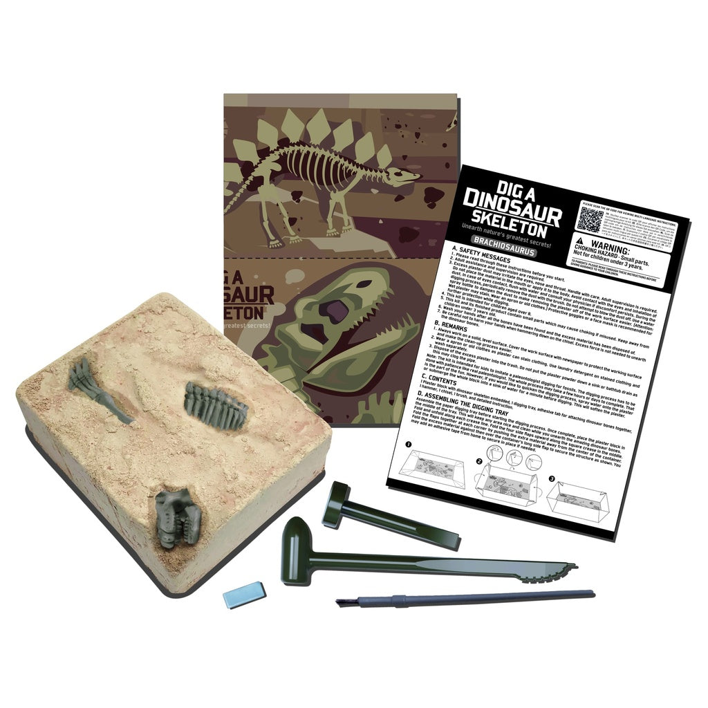 4M Brachiosaurus Skeleton Excavation Kit – Dig & Assemble 28cm Dinosaur Model, Includes Tools & Instructions, Ages 8+, Model 00-03237
