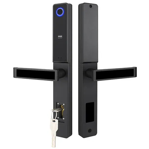 قفل ذكي Locstar-C81، أفضل قفل ذكي للأبواب المنزلقة للفناء، مزود بمقبض، وقفل Ttlock بتقنية البلوتوث، وقفل باب حديدي ببصمة الإصبع