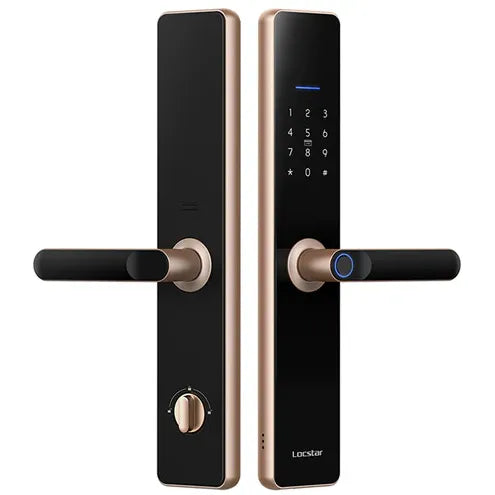 قفل باب ذكي Locstar-A61 يعمل بالواي فاي مع تطبيق TTlock، قفل بيومتري، مقبض باب ببصمة الإصبع، قفل رقمي بدون مفتاح