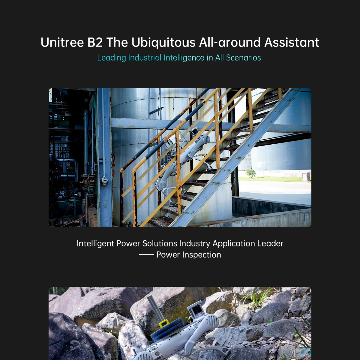 Unitree B2 Industrial Quadruped Robot