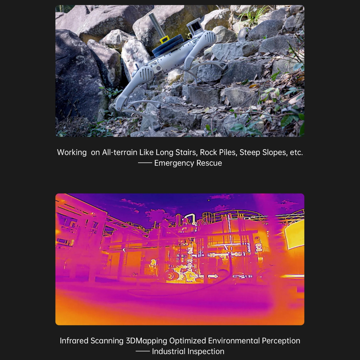 Unitree B2 Industrial Quadruped Robot