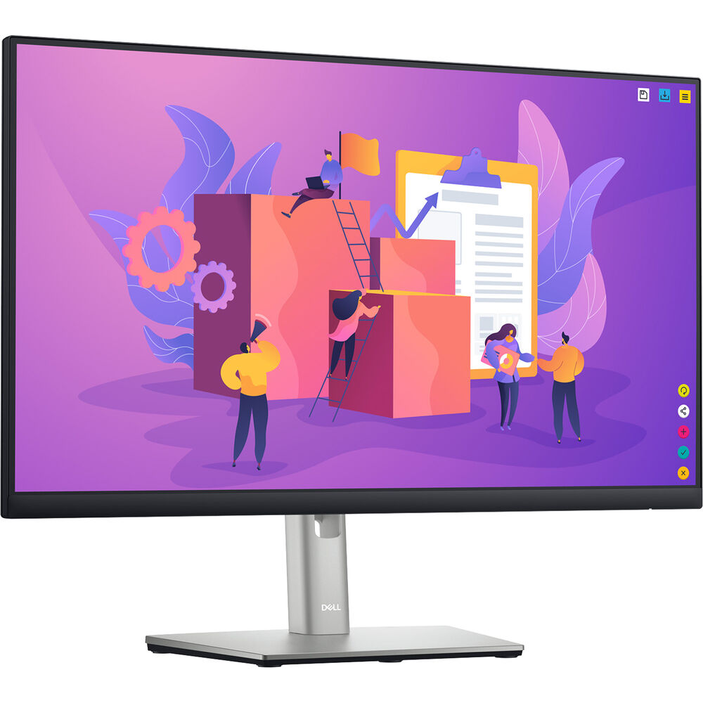 Dell 24 Monitor - P2422H - Full HD 1080p, IPS Technology