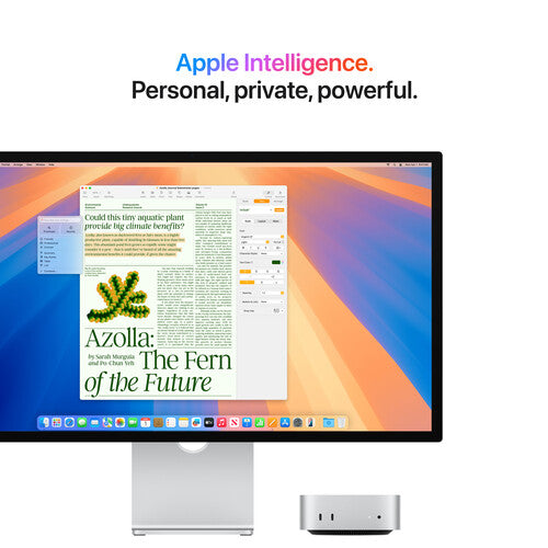 Apple Mac mini (شريحة Apple M4 Pro مع وحدة معالجة مركزية 12 نواة ووحدة معالجة رسومات 16 نواة، ذاكرة موحدة 24 جيجابايت، 512 جيجابايت) - فضي