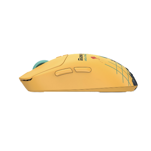 #Color_Renegade Sunset