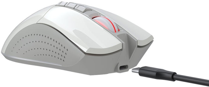 #Color_Greyish White