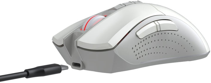 #Color_Greyish White