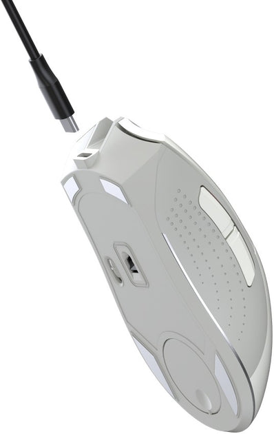 #Color_Greyish White