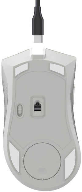 #Color_Greyish White