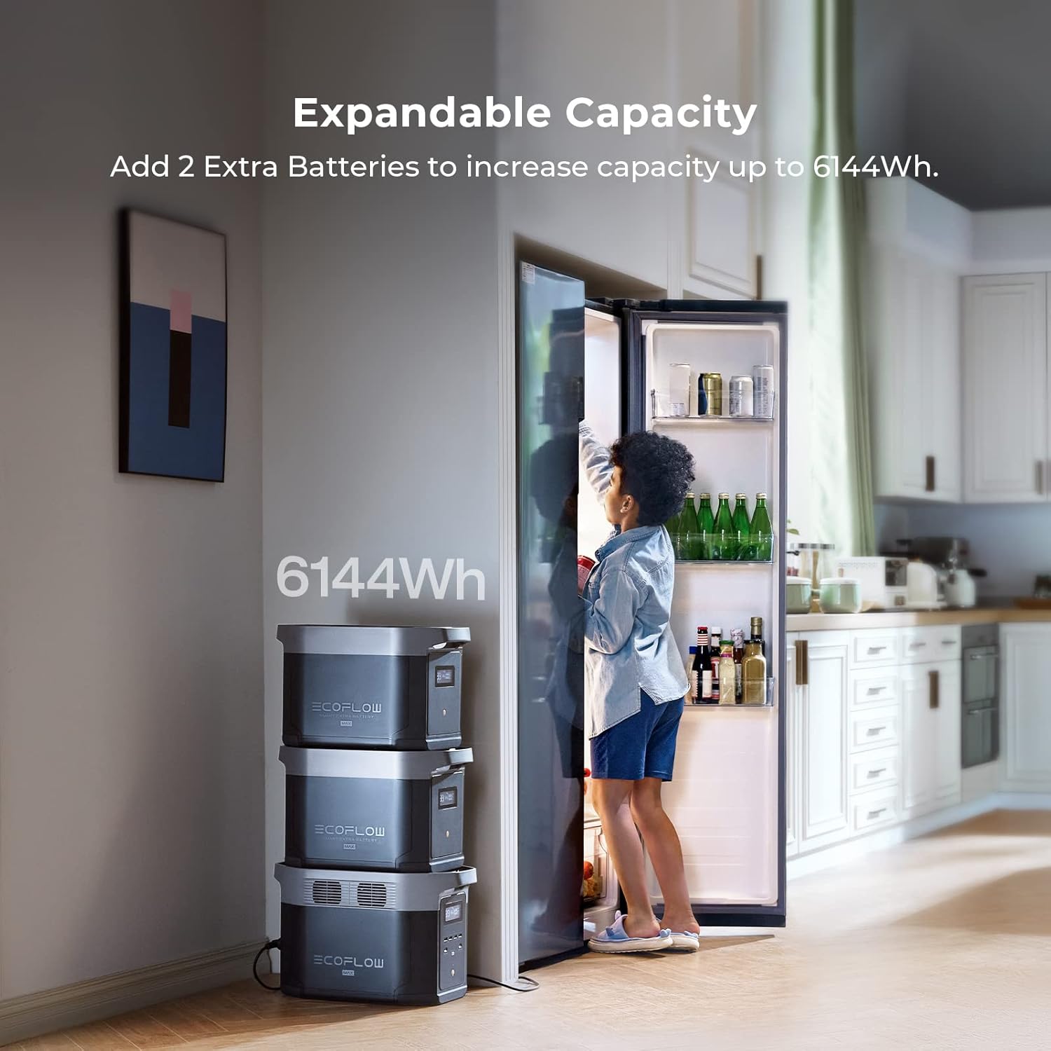 EcoFlow DELTA 2 Max Portable Power Station – 2048Wh LiFePO4, 2400W AC Output, Expandable Battery, Solar Ready