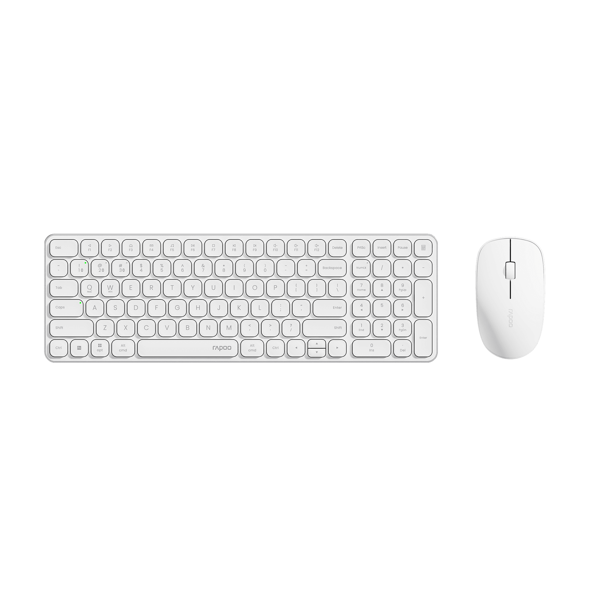 #Color_White