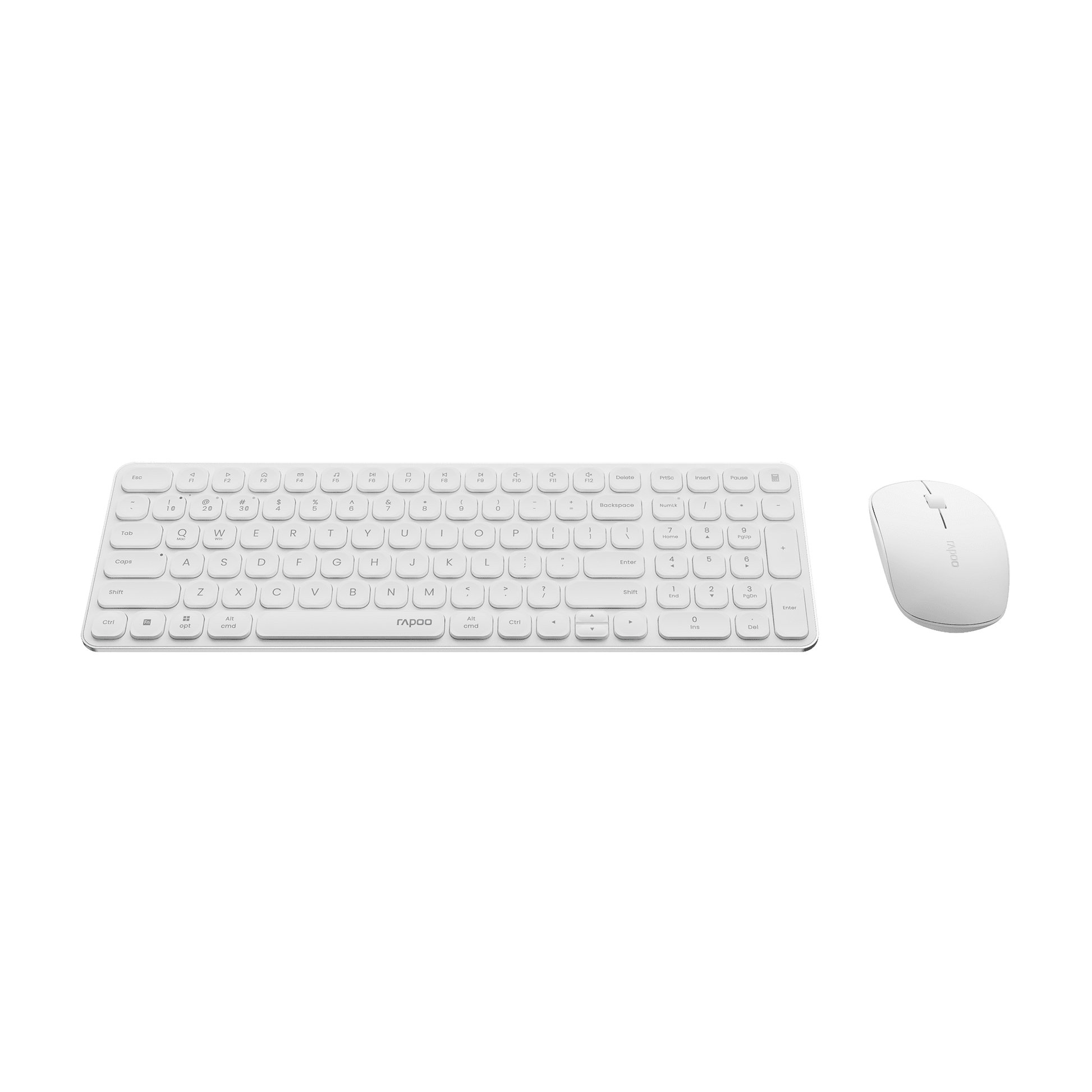 #Color_White