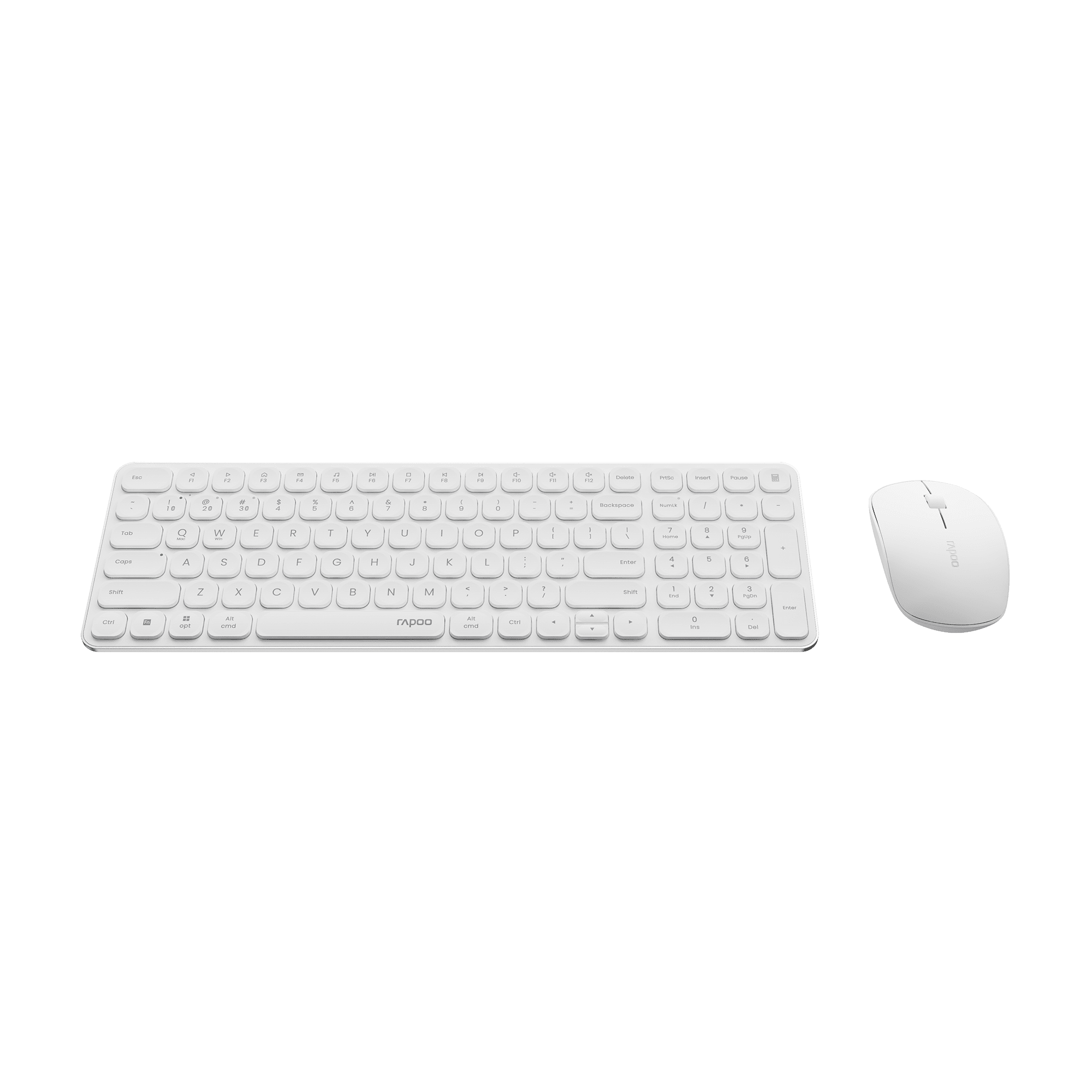 #Color_White