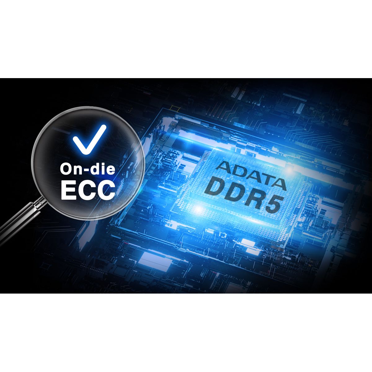 メモリー ADATA DDR5 5600 64GB (32GB x2) ADATADDR55600SO-