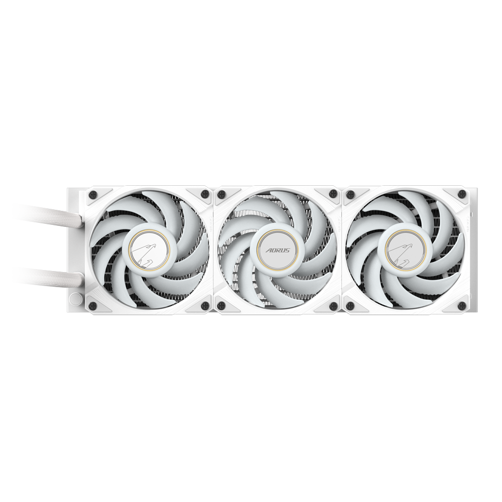 #Color_White