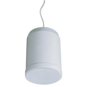 CMX PSK-20PS Pendant Speaker, 20W, 100V/70V & 8Ω, 6.5″ Full-Range, 2.5/5/10/20W Taps, IP55