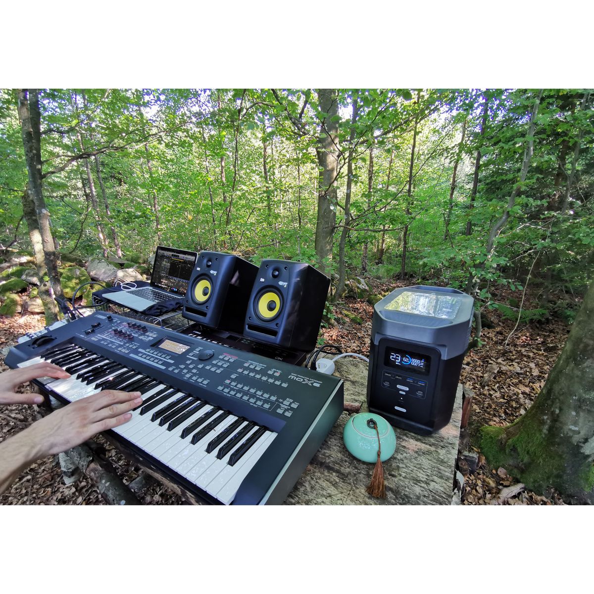 EcoFlow DELTA 2 Portable Power Station – 1024Wh LiFePO4 Battery, 1800W AC Output, Solar Ready, Fast Charging