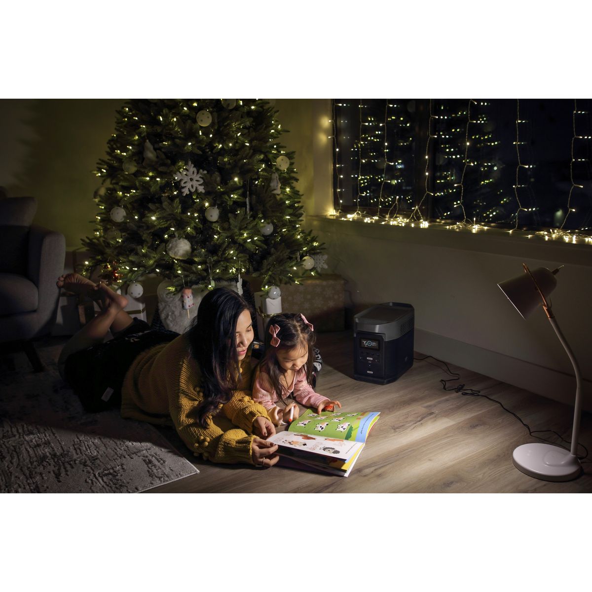 EcoFlow DELTA 2 Portable Power Station – 1024Wh LiFePO4 Battery, 1800W AC Output, Solar Ready, Fast Charging