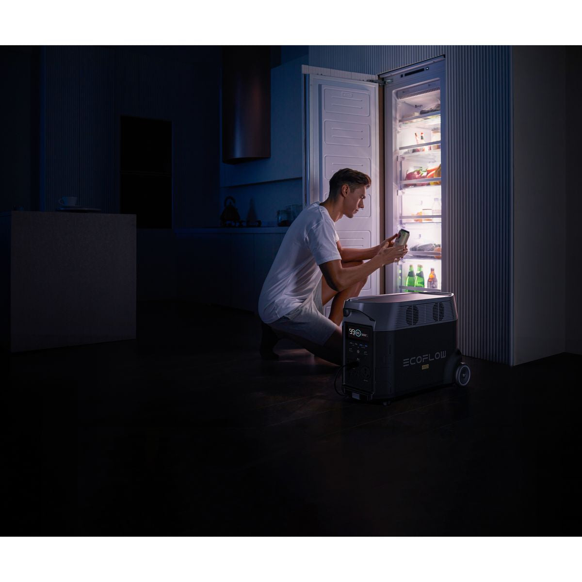 EcoFlow DELTA Pro Portable Power Station – 3600Wh LiFePO4, 3600W AC Output, 1600W Solar Input, Wi-Fi/Bluetooth