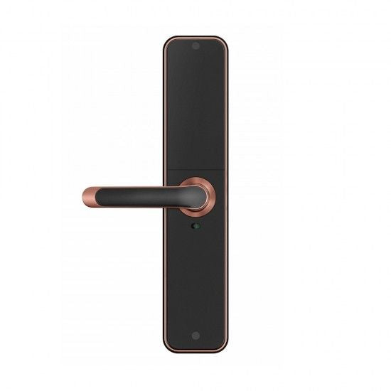 LILIWISE H7B-TBW Smart Door Lock