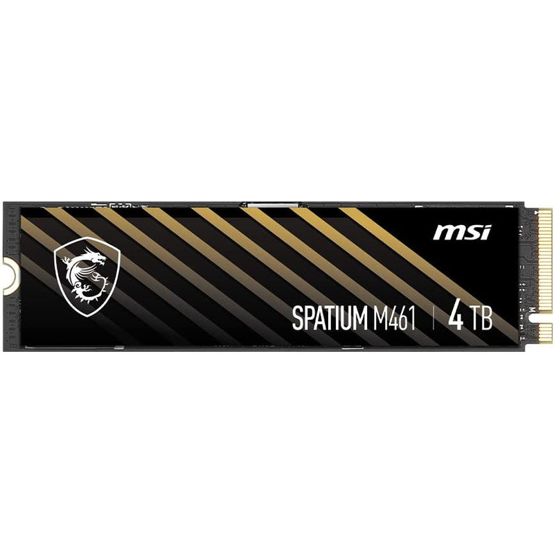 MSI SPACE M461 PCIe 4.0 NVMe M.2 2280 SSD داخلي