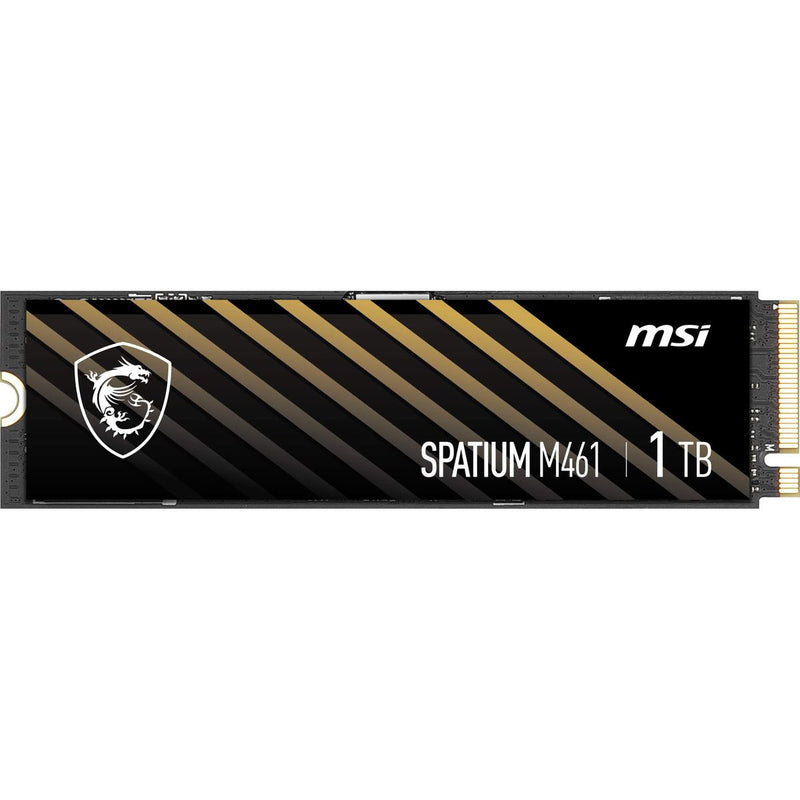 MSI SPACE M461 PCIe 4.0 NVMe M.2 2280 SSD داخلي