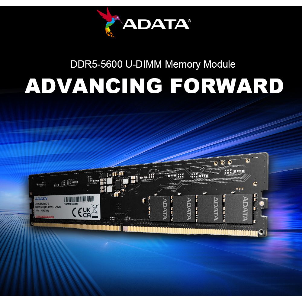 ADATA DDR5-5600 U-DIMM Memory Module - 16GB (1x 16GB) – 5600 MT/s