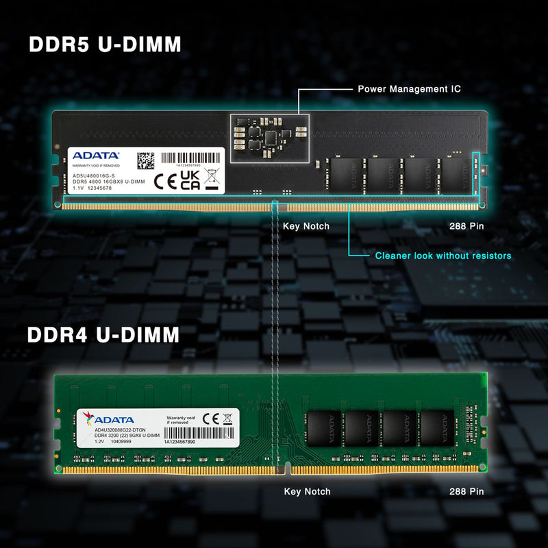 ADATA DDR5 Memory Module - 32GB (1x 32GB) - U-DIMM - 5600MHz - AD5U560032G-S - Memory RAM - alnabaa.com - النبع